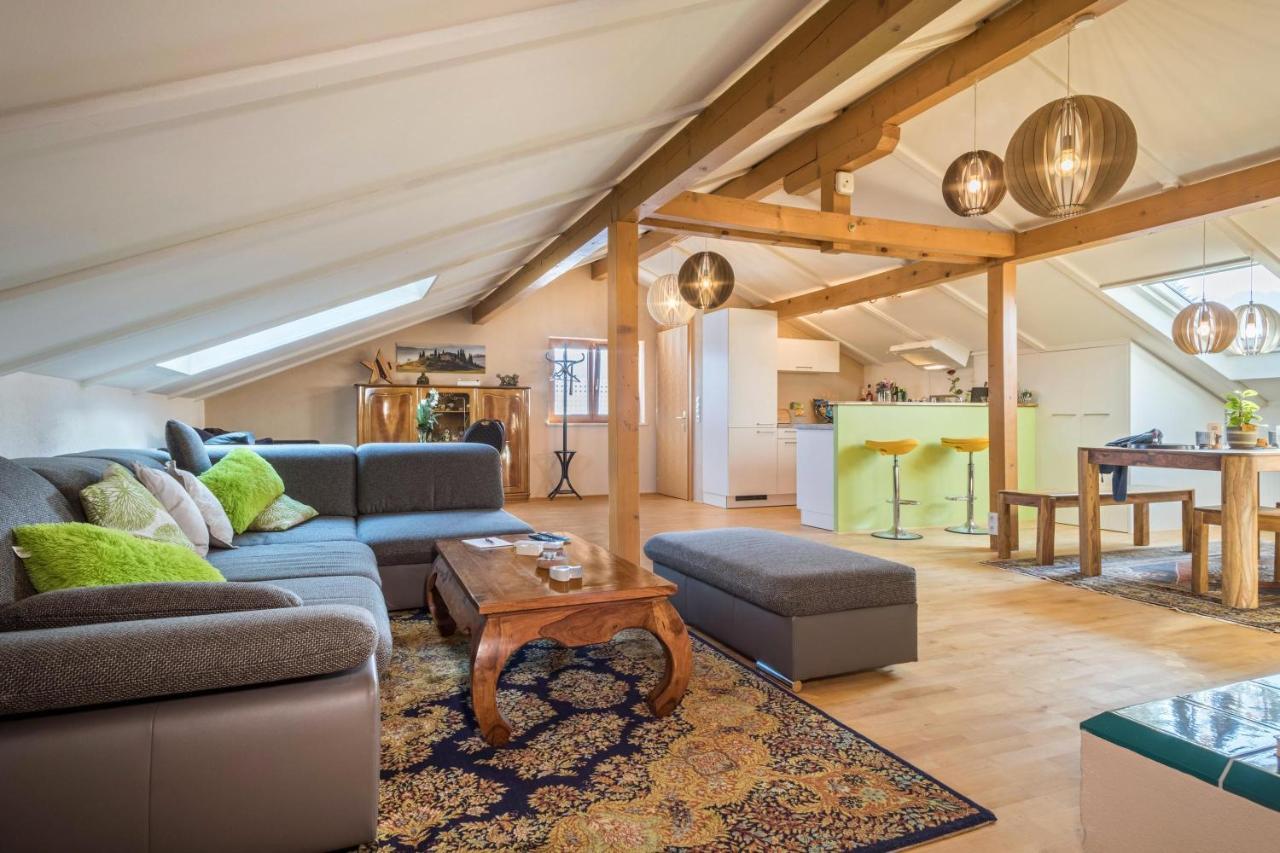 Luxurioeses Penthouse-Appartement Höchst Dış mekan fotoğraf
