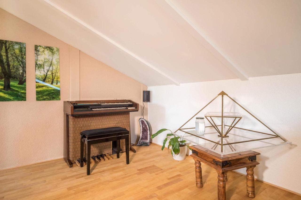 Luxurioeses Penthouse-Appartement Höchst Dış mekan fotoğraf